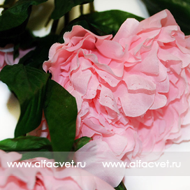 искусственные цветы ветка пиона цвета розовый 5