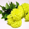 искусственные цветы букет хризантем цвета салатовый 39