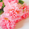 искусственные цветы букет хризантем цвета светло-розовый 9