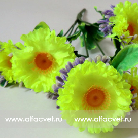 искусственные цветы букет маргариток (розетка) цвета салатовый 39